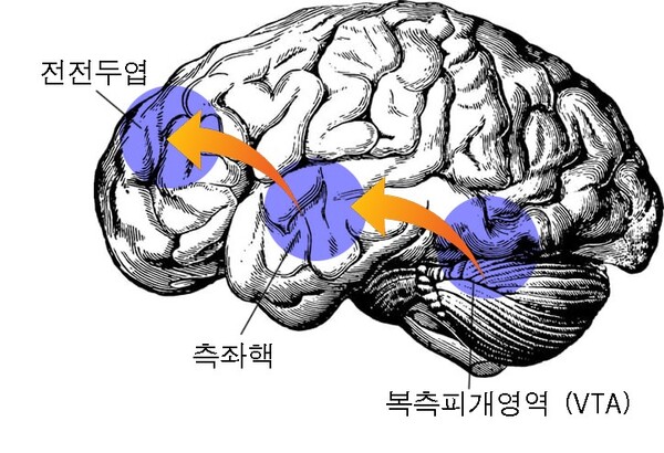 중독의 미디어